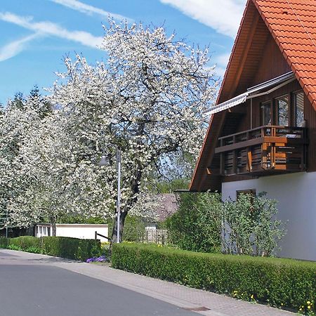 Ferienwohnung Am Schlosspark Schlitz Ngoại thất bức ảnh